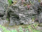 Outcrop of Lower Miller's Dale Lava